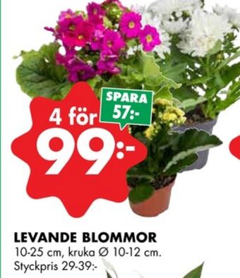 ÖoB Odla krukväxt erbjuda