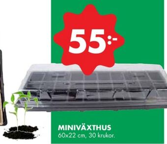ÖoB Odla minidrivhus erbjuda