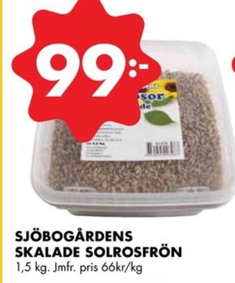 ÖoB Sjöbogården solrosfrön erbjuda