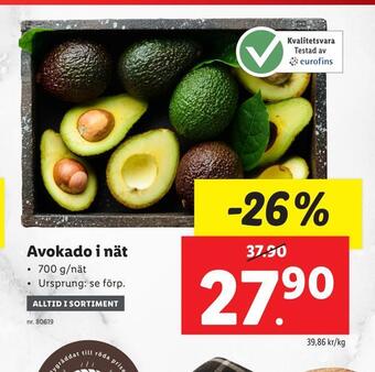 Lidl Avokado i nät erbjuda