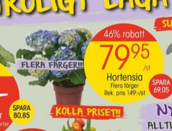 EKO Blommor erbjuda