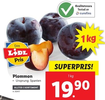 Lidl Plommon 1kg erbjuda