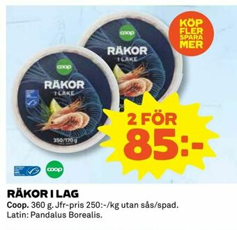 Coop Daglivs Räkor i lag erbjuda