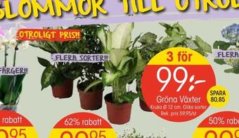 EKO Gröna växter erbjuda