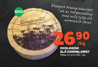 Ekologisk blå kornblomst