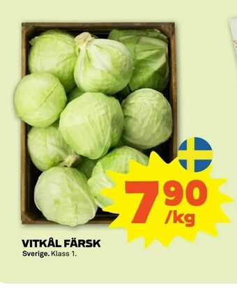 Stora Coop Vitkål färsk erbjuda