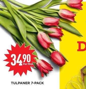 Willys Tulpaner 7-pack erbjuda