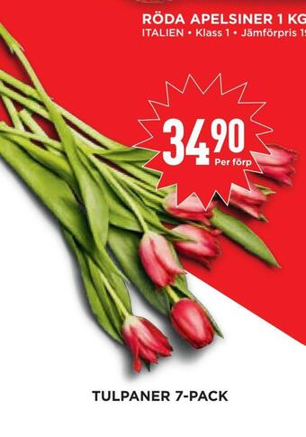 Willys Hemma Tulpaner 7-pack erbjuda
