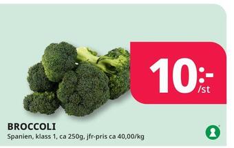 Tempo Broccoli erbjuda