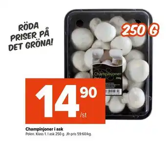 Coop Extra Champinjoner i ask erbjuda