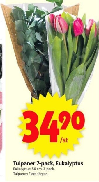 ICA Supermarket Tulpaner 7-Pack, Eukalyptus erbjuda