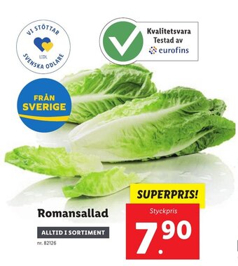 Lidl Romansallad erbjuda