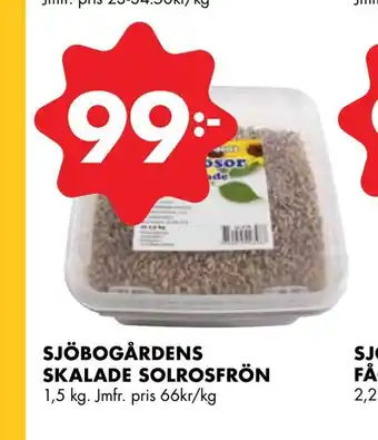 ÖoB Sjöbogårdens skalade solrosfrön erbjuda