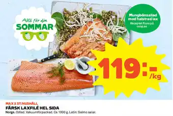 Norge Färsk Laxfilé Hel Sida 1000g