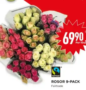 Willys blommor