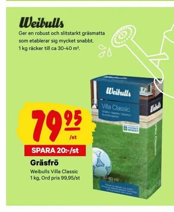 City Gross Gräsfrö erbjuda