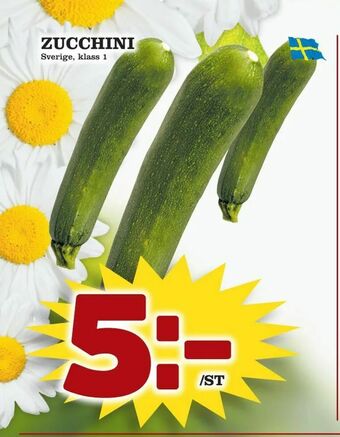 Zucchini