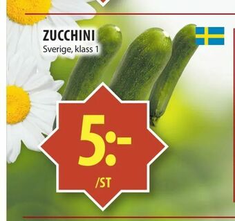 Matvärlden Tensta Zucchini erbjuda
