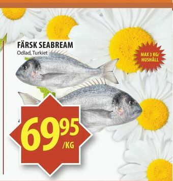 Matvärlden Tensta Färsk seabream erbjuda
