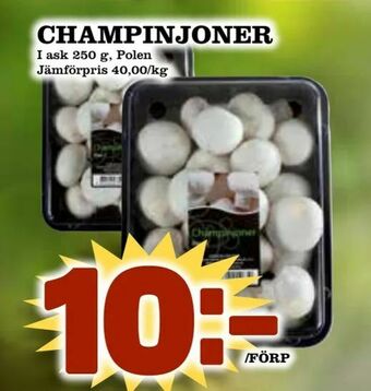 Supergrossen Champinjoner erbjuda