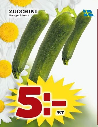 Supergrossen Zucchini erbjuda