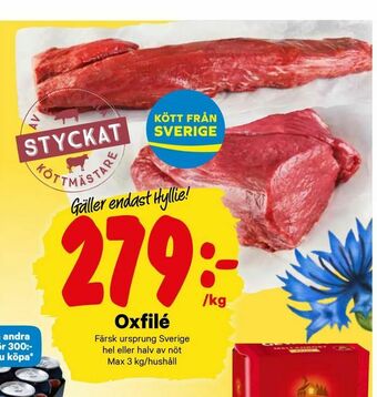 City Gross Oxfilé erbjuda