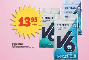V6 Tuggummi 30g