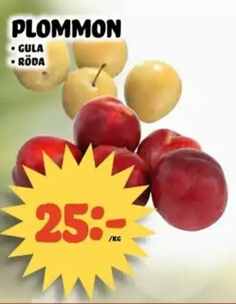 Plommon Gula, Röda