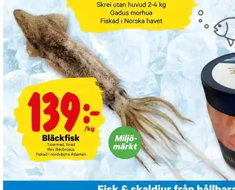 City Gross Bläckfisk erbjuda