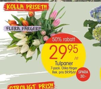 EKO Tulpaner erbjuda