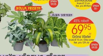 EKO Gröna växter erbjuda