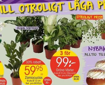 EKO Gröna växter erbjuda
