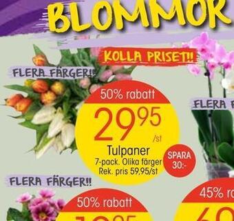 EKO Tulpaner erbjuda