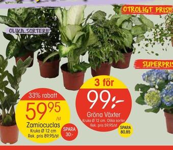 EKO Gröna växter erbjuda