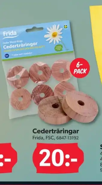 DollarStore Frida doftblock erbjuda