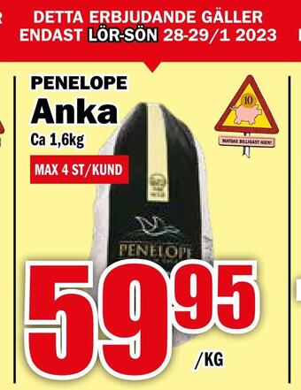 Matdax Anka erbjuda