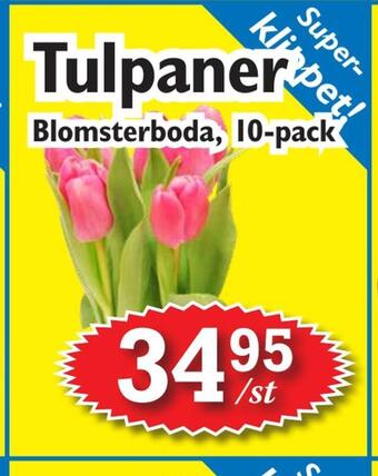 T-jarlen Tulpaner erbjuda