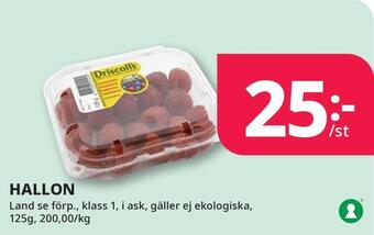 Tempo Hallon erbjuda