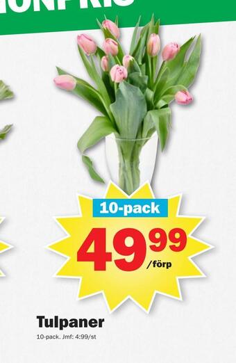 Pekås Tulpaner erbjuda