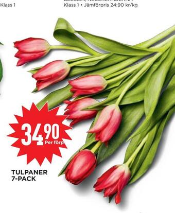 Willys Tulpaner 7-pack erbjuda