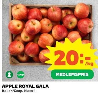 Coop Äpplen Royal Gala erbjuda