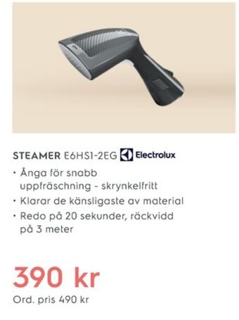 Electrolux steamer