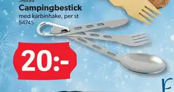 DollarStore Campingbestick erbjuda