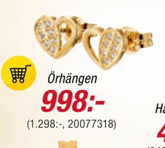 Guldfynd Örhängen erbjuda
