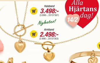 Guldfynd Armband erbjuda