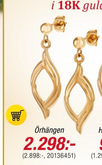 Guldfynd Örhängen erbjuda