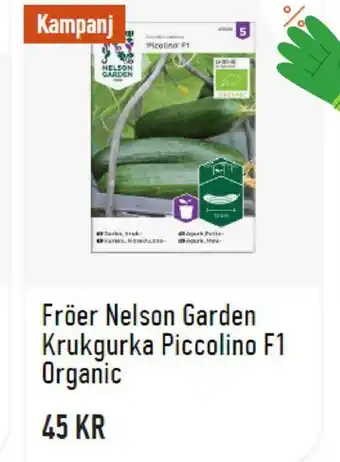 Granngården Fröer Nelson Garden Krukgurka Piccolino F1 Organic erbjuda