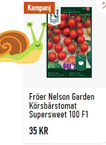 Granngården Fröer Nelson Garden Körsbärstomat Supersweet 100 F1 erbjuda