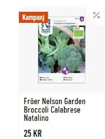 Granngården Fröer Nelson Garden Broccoli Calabrese Natalino erbjuda