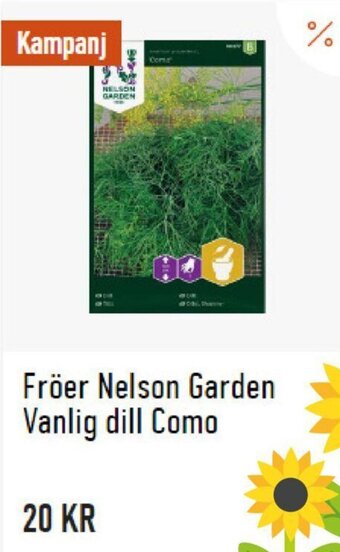 Granngården Fröer Nelson Garden Vanlig Dill Como erbjuda
